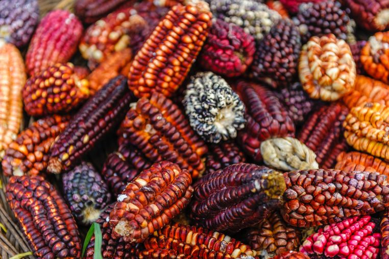 Lima: The 5 Best Street Markets to Enjoy Authentic Local Food